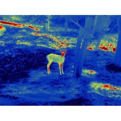 Прицел тепловизионный GUIDE TS450 в Братске