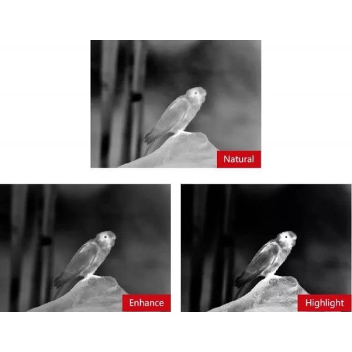 Тепловизионный бинокуляр Guide TN430 400х300, ø35мм, лазерный дальномер в Братске