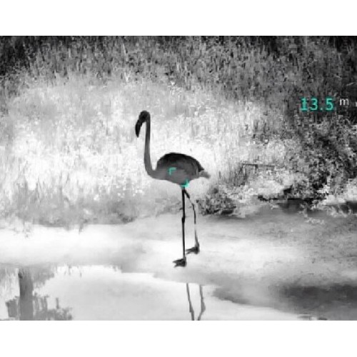 Тепловизионный бинокуляр Guide TN430 400х300, ø35мм, лазерный дальномер в Братске