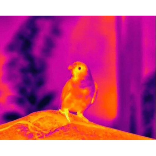 Тепловизионный бинокуляр Guide TN430 400х300, ø35мм, лазерный дальномер в Братске